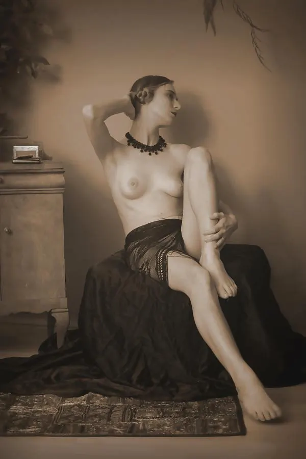 Elegant historical model