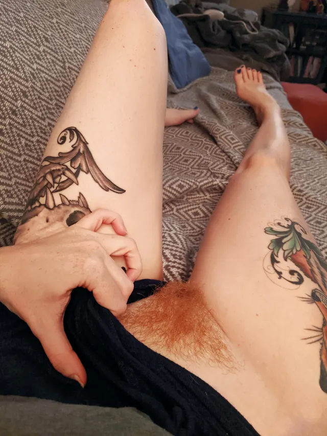 Who doesn't love a little ginger bush