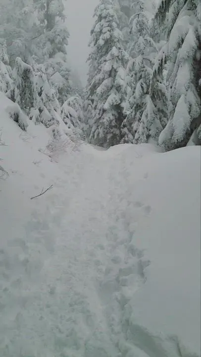 Canadian, carefree, and just a little crazy! [GIF]